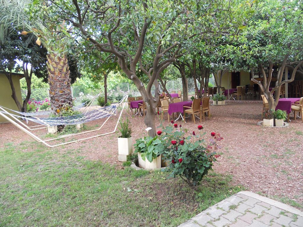 Cirali Olympos Hotel מראה חיצוני תמונה